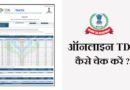 How to Check TDS Online in Hindi